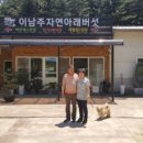 이남주자연아래버섯 이미지