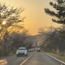 상진 목장 이미지