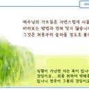 일일예화말씀묵상 2024년 11월 20일 (수) - 어려운 결정 이미지