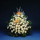 소안중학교 이미지