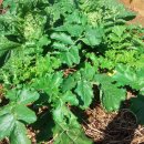 여월주공어린이집 이미지