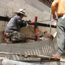 창용초교 이미지