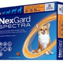 아포동물약국 | 반려견 넥스가드: 구충의 혁신, 평생 보호를 위한 필수 아이템