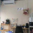네일다시봄
