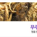 무주명품천마