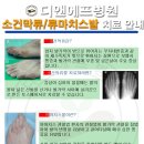 디앤에프병원 이미지