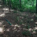 대룡산주유소 이미지