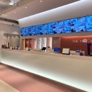 유스의원 이미지