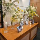 웨스턴베니비스 이미지