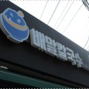 전복배말칼국수