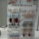 네일 쌍뜨레 네이버블로그