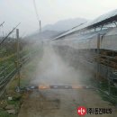 호탄농장 이미지