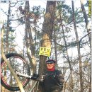 봉현보건진료소 이미지