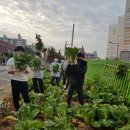 정광중학교 이미지