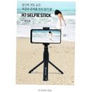 셀피스