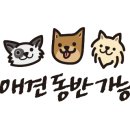 함양천자봉관광농원숲속애 이미지