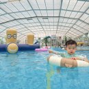 (주)선재해림풀빌라 | 대부도 카라반 수영장 선재해림 카라반 풀빌라 애견동반