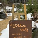 선제리의아침