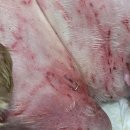 주주 동물병원 이미지