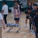 소초초등학교 병설유치원 이미지