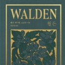 소로3-39 이미지