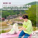 불빛목장 | 포천 애견동반 여행지 | 사진 찍기 좋았던 허브아일랜드 후기