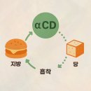 이씨디