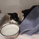 함께오래동물병원 이미지