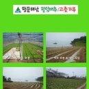 해남목장 네이버블로그