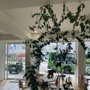 용산-136 | 만리재길 서울역 남산타워뷰 브런치 카페 베르시 BERCI
