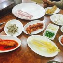 녹차먹인돼지 이미지