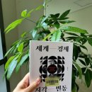 혼돈의 세계+ 어디로 가는가? | 세계 경제 지각 변동(트럼트가 흔드는 세계경제 어디로 가는가?)