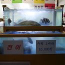 용현회수산