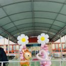 근화초등학교 이미지