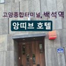 호텔앙띠브 | 고양종합터미널 백석역 근처 숙소추천 호텔 앙띠브