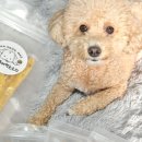 개빵뜯어먹는소리 이미지