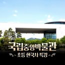 중앙초등길 네이버블로그
