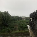 콴도제주 이미지