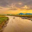 순천만 갈대밭 이미지