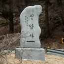 (주)강산여행사
