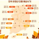 금산1세천 | 가을 단풍시기 및 대전 명소 TOP 10
