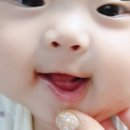 [옥정]행복한 칼림바 이야기 | 옥정 아이보듬 어린이치과 후기 : 소아 유치발치, 아랫니 안 흔들리는데 영구치가 먼저?