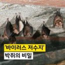 코로나 바이러스가 중국의 음흉함을 이미지