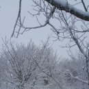 인제16-2 이미지