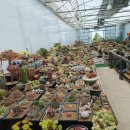 장금농장 이미지