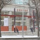 브라운칩 이미지