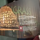 모닝글로리 | 짜릿했던 태국 전통 음식 모닝글로리 후기