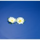 수오아카데미학원 | 기숙사학원비용 홧팅하는 모습이 보기 좋아요