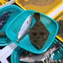 지영이네활어