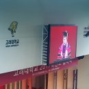 화정체육관 이미지